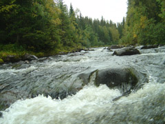 Fluss in Dalarna